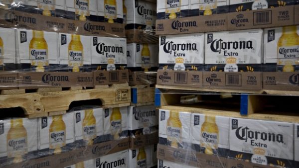 buy Corona Extra Beer