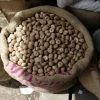 Betel nuts for sale